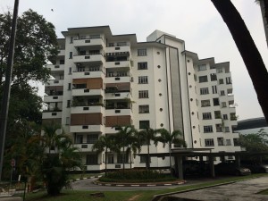 IMG_2460